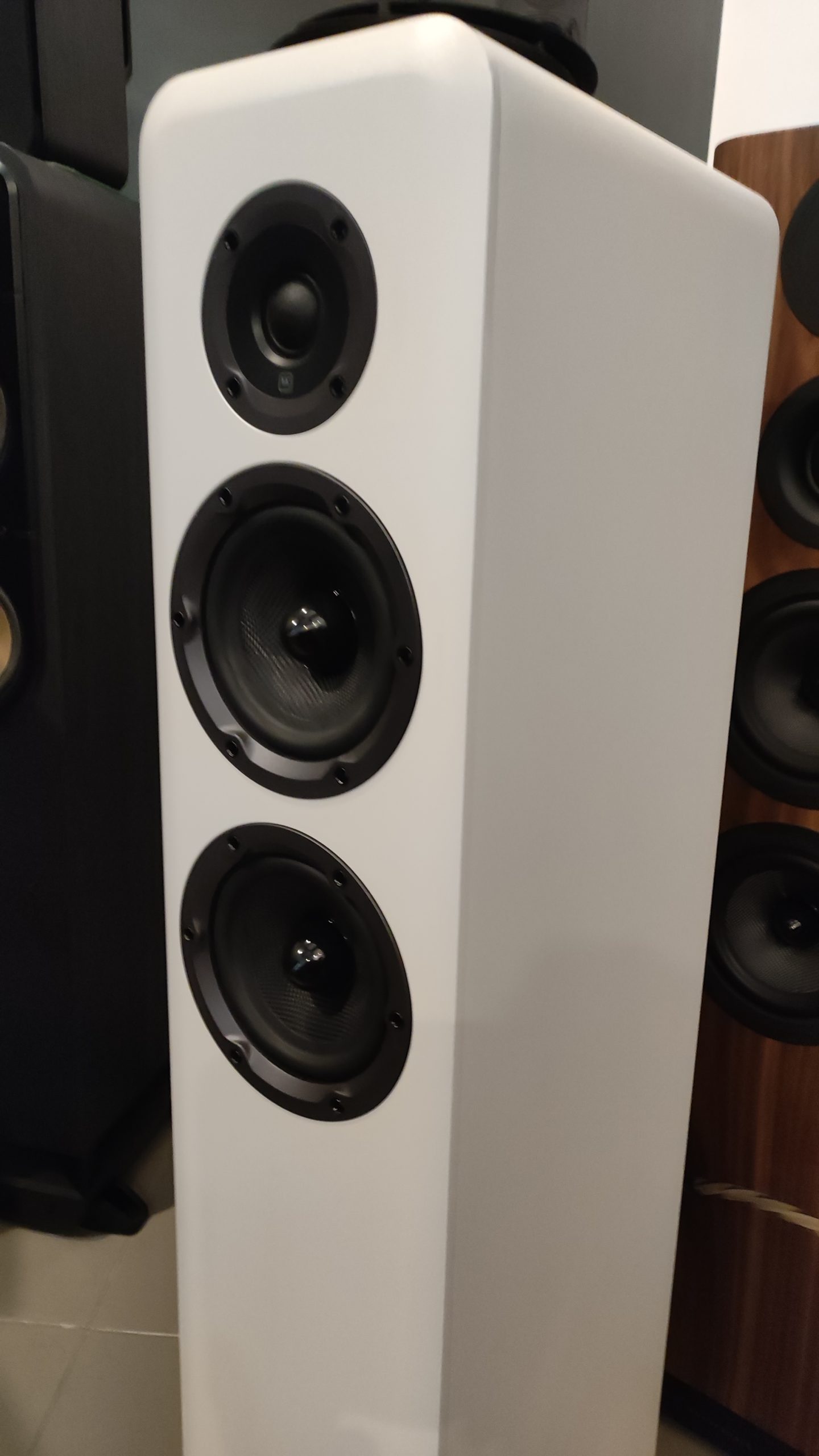 1773829473708 WHARFEDALE D330 - immagine 1