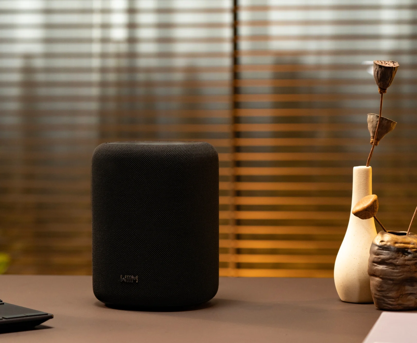 design1-DmKeqs1e WIIM Sound Lite - immagine 1