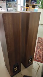 INDIANA LINE TESI 561 - immagine 4
