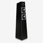TOTEM ACOUSTIC Thunderbird